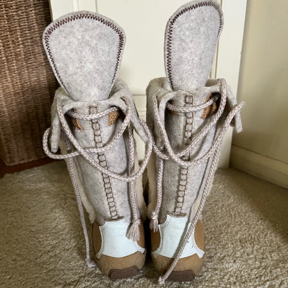 Tecnica boots